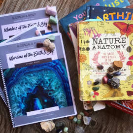 Blossom and Root