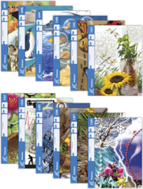 Biology, fourth edition (A.C.E.)
