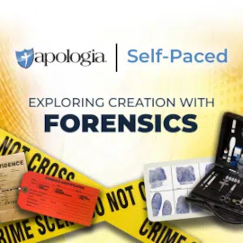 Exploring Creation with Forensics