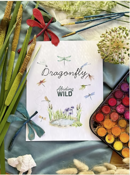 Abiding Wild Nature Unit Studies: Dragonflies