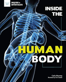 inside the human body