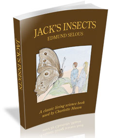 Jack's Insects